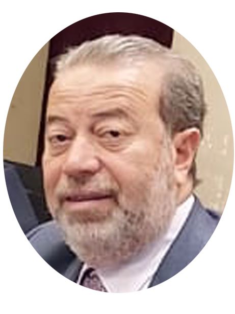 المهندس / ماجد محمد عبد المقصود